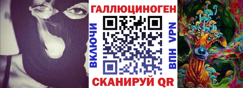 Псилоцибиновые грибы Psilocybine cubensis  Купить закладки  Ипатово 